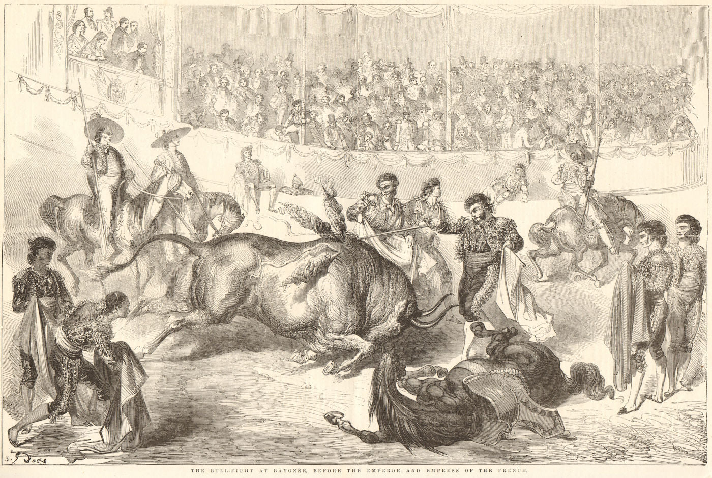 The bull-fight at Bayonne, before the French Emperor. Pyrénées-Atlantiques 1856